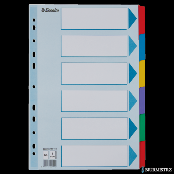 Przekładki, kolorowy karton, karta opisowa Mylar A4, Esselte, 6 kart, , 100168 (X)