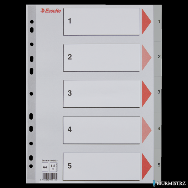 Przekładki plastikowe szare PP A4 1-5 100103 numeryczne ESSELTE