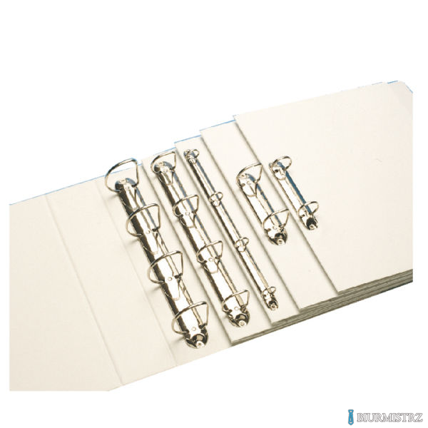 Segregator PANORAMA A4+ 4RR/16 29mm biały ofertowy LEITZ 42820001