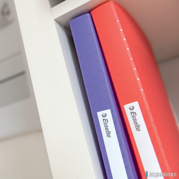 Album ofertowy Esselte ColourBreeze, z 40 koszulkami, lawendowy 628442 Esselte