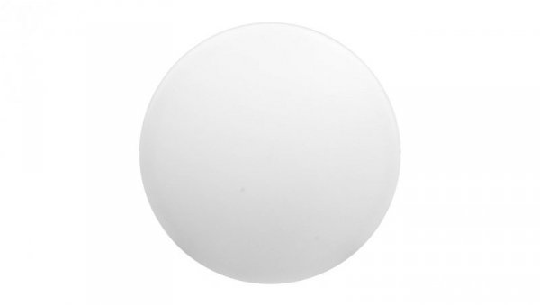 Główka lampki sygnalizacyjnej 22mm biała BA9S ZB5AV01