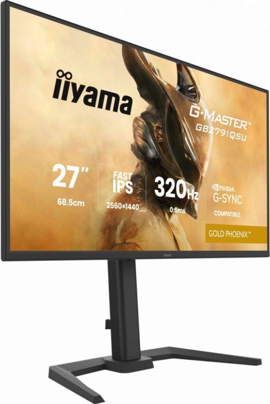 IIYAMA Monitor 25 cali GB2791QSU-B1 0.6ms,DP,2xHDMI 2.1 ,320Hz, Fast IPS,  WQHD,350 cd/m2, USB HUB x4 (2x Type-A, 2x Type-C), G-