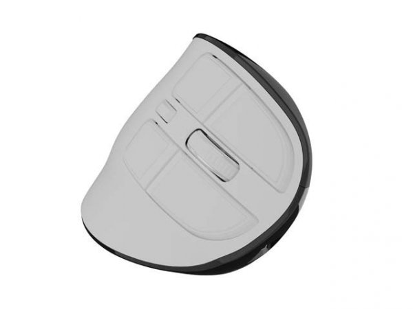 Natec Mysz wertykalna EUPHONIE PRO 2400DPI BT 5.0 bezprzewodowa biała