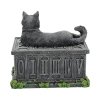 Czarny Kot Fortune's Watcher Lisa Parker - szkatułka, pudełko na tarota
