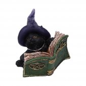 Kot z Magiczną Księgą Zaklęć - figurka
