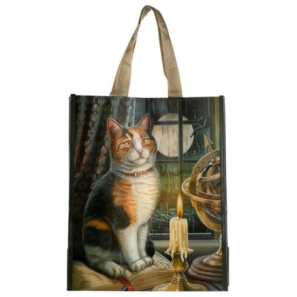 torebka prezentowa, zakupowa wielokrotnego użytku z Magicznym Kotem - Lisa Parker