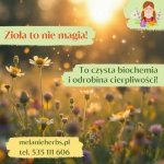 Jak stosować zioła, aby naprawdę działały? Jak stosować zioła, aby naprawdę działały?