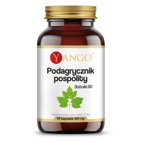 Podagrycznik Pospolity 90 kapsułek