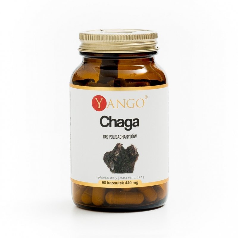 Chaga 90 kapsułek