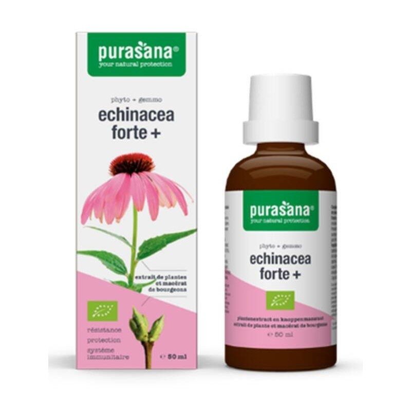 Echinacea Forte BIO 50 ml