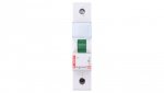 Lampka modułowa zielona 230-250V AC L313 604077