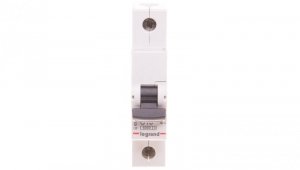 Wyłącznik nadprądowy 1P C 10A 6kA AC S301 RX3 419200