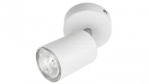 Lampa Oprawa SIENA-ALU-W/S 1xgu10 biała ze srebrnym przegubem