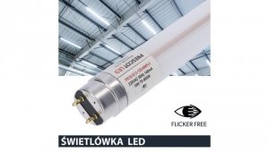 Świetlówka led T8 G13 120cm 18W 6500K 1800lm PC Prescot Flicker free