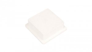 Puszka kontrolna do elewacji 140x140x60mm 68.1/BIAŁA PL /96800108/