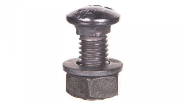 Śruba grzybkowa z podkładką i nakrętką M10x25 FRS 10X25 F TPS 6407536 /50szt./