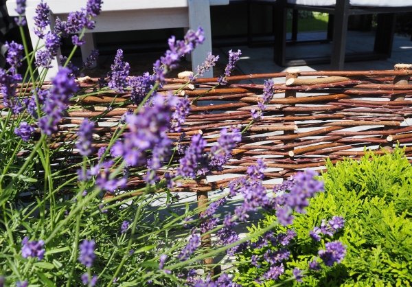 Płotek wiklinowy 120 cm x 20 cm - Sklep z wiklina - zdjęcie