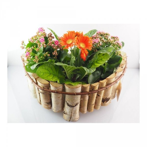 Donica brzozowa Półokrągła 38cm - Sklep z wiklina - zdjęcie 4