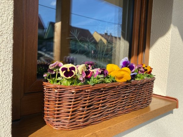 Donica ogrodowa Owalna 50cm - sklep z wiklina - zdjęcie  5
