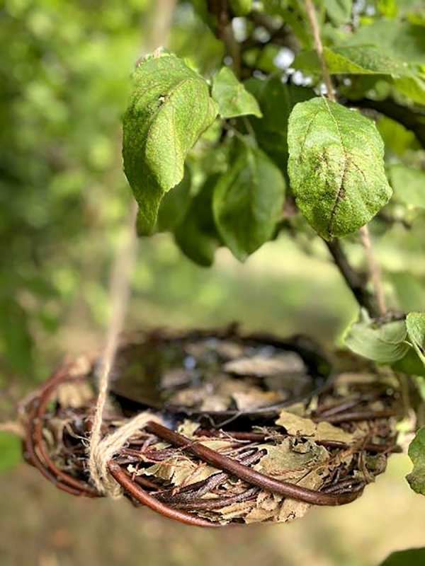 Ekologiczne poidełko dla ptaków - sklep z wiklina - zdjęcie 4