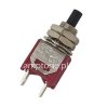 Push Button Switch TS21 Momentary Salecom
