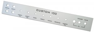 Faceplate Hiwatt Custom 100