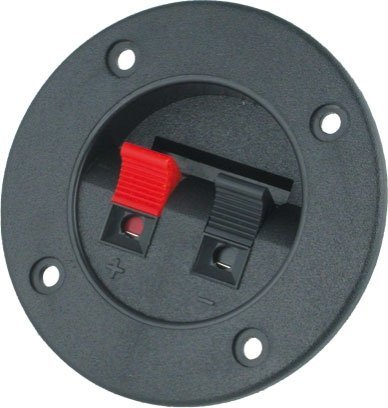 Speaker plate