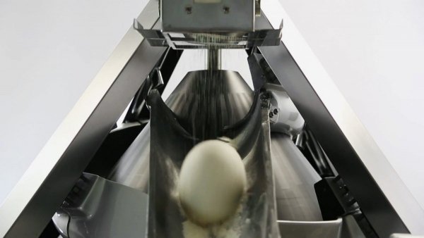 Zaokrąglarka do ciasta | zaokrąglarka stożkowa piekarnicza | SMQ10 | 2 lata gwarancji