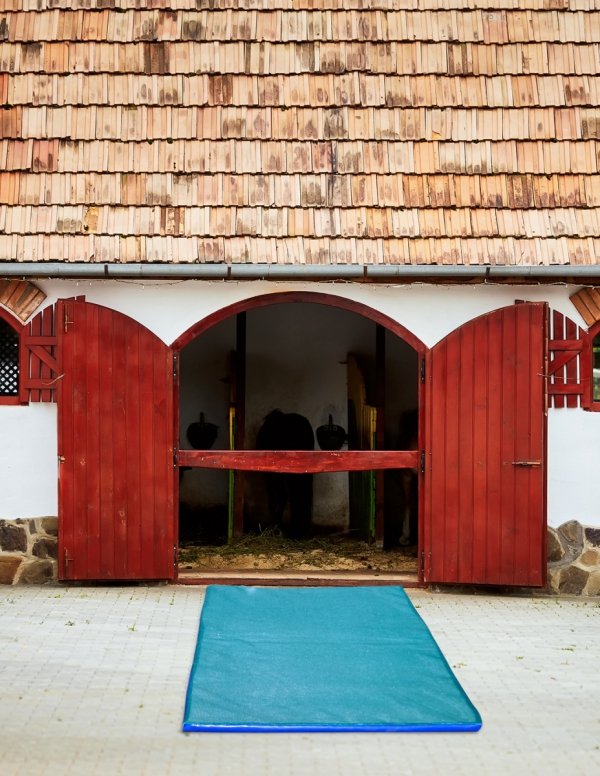 Mata dezynfekcyjna (380x110x4 cm)