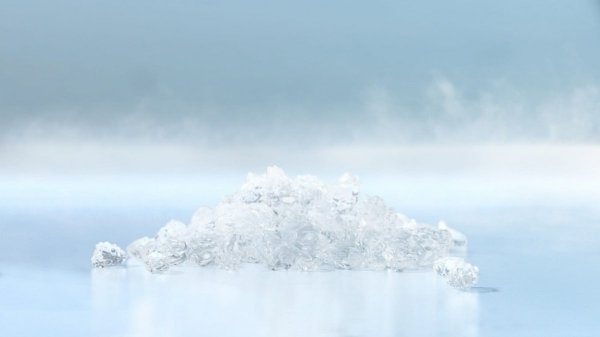 Łuskarka do lodu Hoshizaki FM-750AKE-R452-SB | 750 kg/24h | chłodzona powietrzem | płatki lodu
