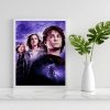 Malowanie Po Numerach Zestaw Harry i Czara Ognia 40x50