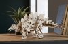 Puzzle 3D Drewniane Stegozaur uGEARS