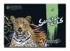 Magiczna Zdrapka Tajemniczy Gepard 40x28 cm 