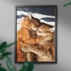 Malowanie Po Numerach Zestaw Czułość Kota 40x50