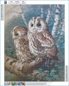 Haft Diamentowy Tajemnicze Sowy 40x50