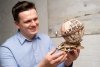 Puzzle 3D Drewniane Globus uGEARS