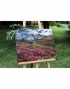 Malowanie Po Numerach Zestaw Wiosna w Górach 40x50