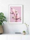 Haft Diamentowy Różowe Papugi 45x55 K