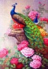 Haft Diamentowy Baśniowe Pawie 40x50 cm