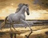 Malowanie Po Numerach Zestaw Koń o Świcie 40x50