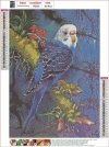 Haft Diamentowy Niebieska Papużka 30x40 cm