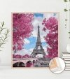 Malowanie Po Numerach Zestaw Magnolie w Paryżu 40x50