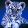 haft diamentowy tygrys