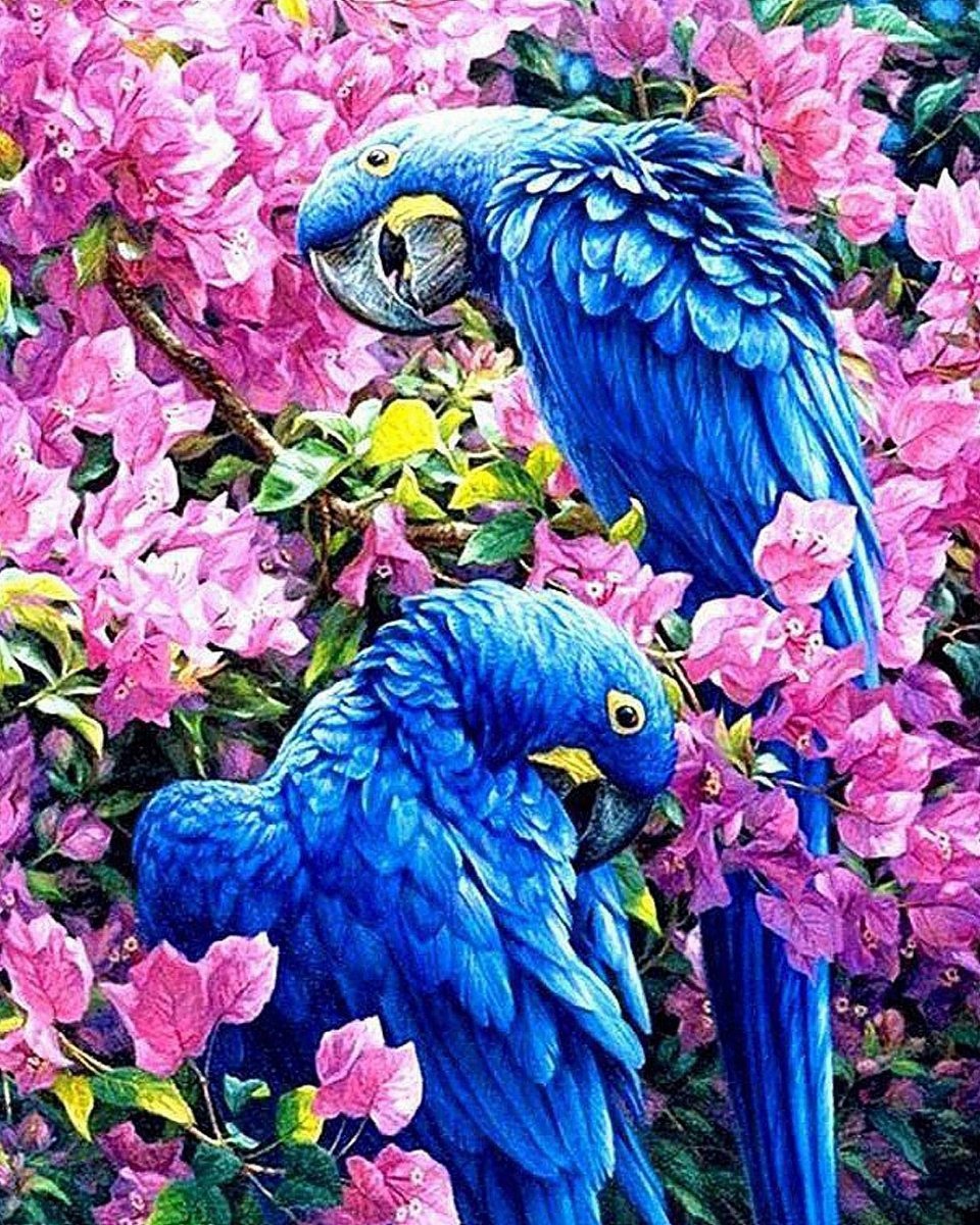 Haft Diamentowy Niebieskie Kakadu 55x75 cm