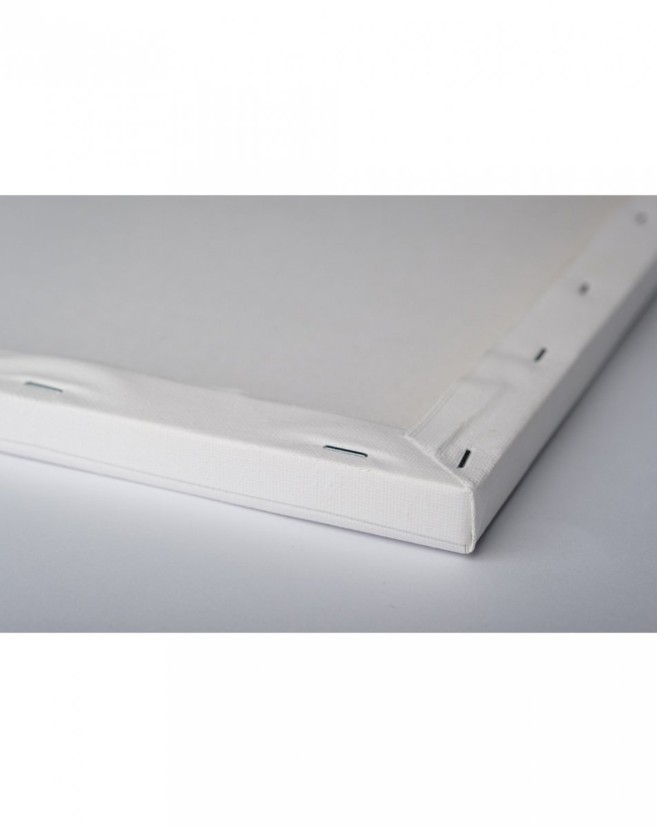 Malowanie Po Numerach Zestaw Pocałunek 40x50