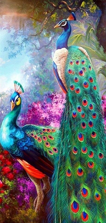 Haft Diamentowy Królewskie Pawie 50x95 cm