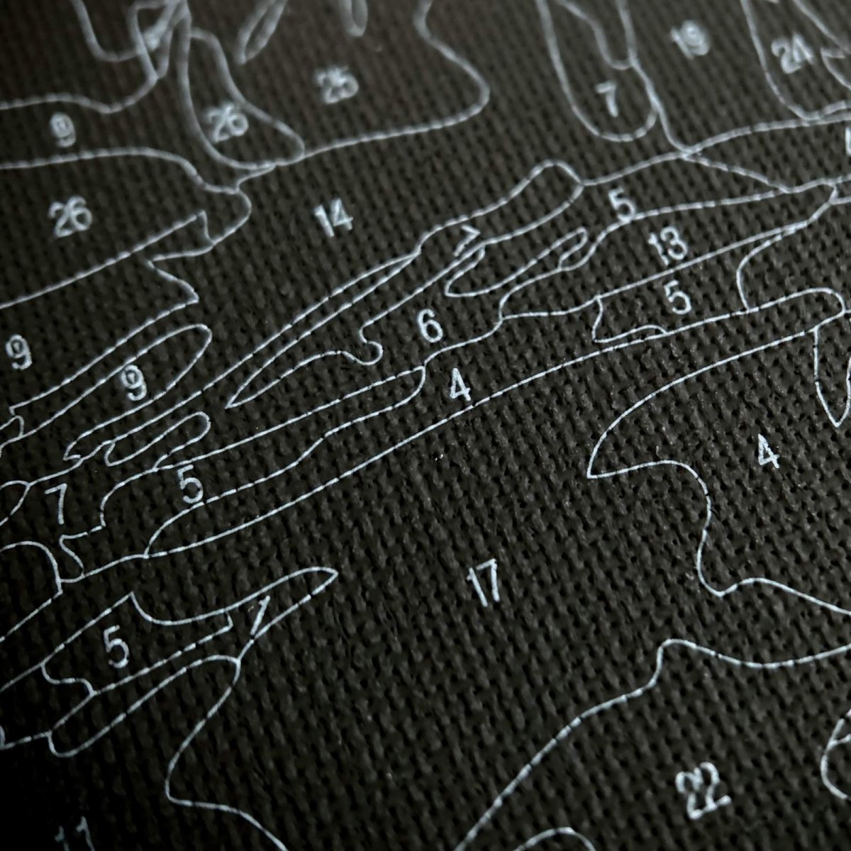 Malowanie Po Numerach Czarne Płótno Zestaw Czarna Papuga 40x50