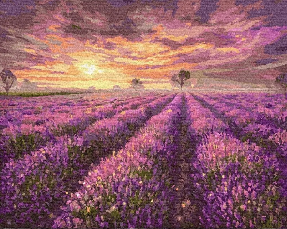 Malowanie Po Numerach Zestaw Lawendowy Zachód Słońca 40x50