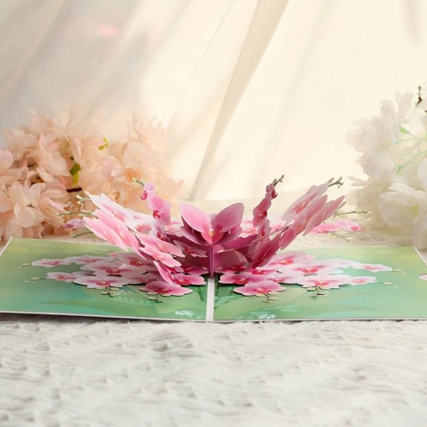 Kartka Pocztowa Okolicznościowa 3D Pop-up Kwiaty - Piękne Storczyki