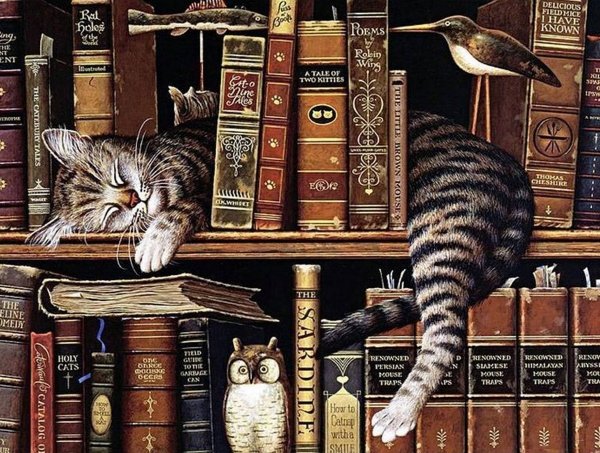 Haft Diamentowy Kot Bibliotekarz